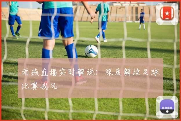 雨燕直播实时解说：深度解读足球比赛战况
